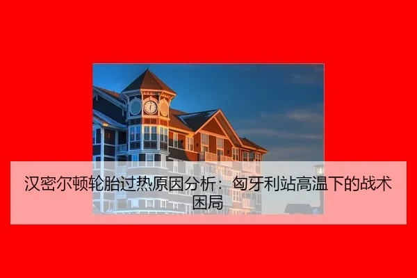 han-mi-er-dun-lun-tai-guo-re-yuan-yin-fen-xi-xiong-ya-li-zhan-gao-wen-xia-de-zhan-shu-kun-ju-3-956.jpg
