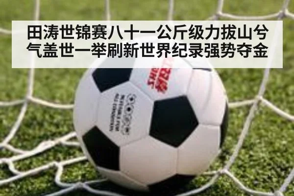 田涛世锦赛八十一公斤级力拔山兮气盖世一举刷新世界纪录强势夺金